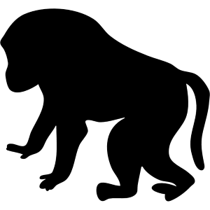 Baboon Baboon