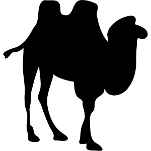Camel Two Humps Camel Two Humps