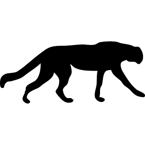 Cheetah Cheetah
