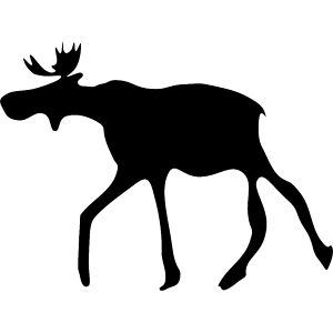 Elk Elk