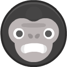 Gorilla Gorilla