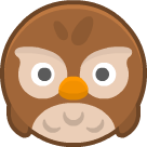 Owl Owl