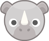 Rhino Rhino
