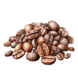 Coffee 12 Coffee 12