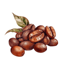 Coffee 21 Coffee 21