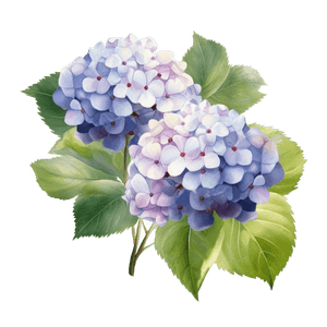 Flower 13 Flower 13