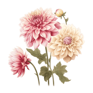 Flower 14 Flower 14