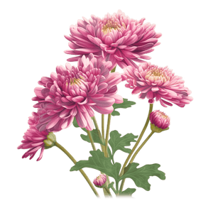 Flower 15 Flower 15