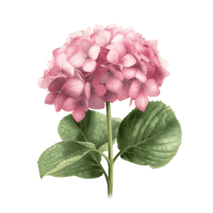Flower 16 Flower 16