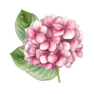 Flower 17 Flower 17