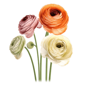 Flower 22 Flower 22