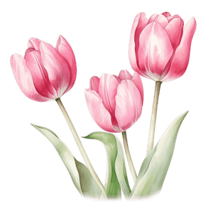 Flower 26 Flower 26