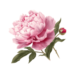 Flower 27 Flower 27