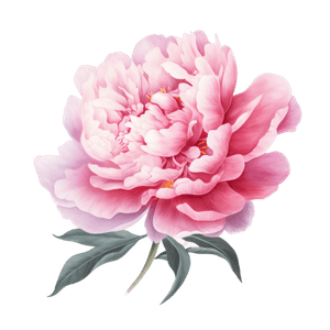 Flower 28 Flower 28