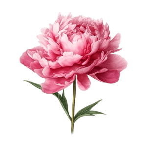 Flower 29 Flower 29
