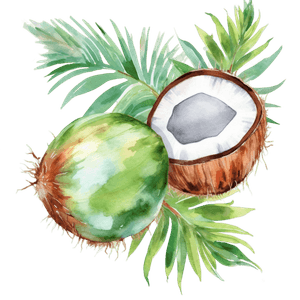 Fruit 13 Fruit 13