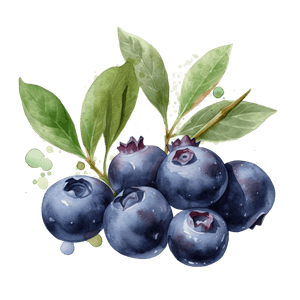 Fruit 15 Fruit 15
