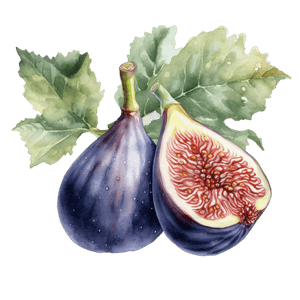 Fruit 16 Fruit 16