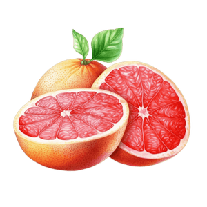 Fruit 17 Fruit 17
