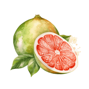 Fruit 19 Fruit 19