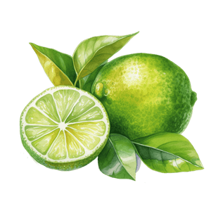 Fruit 20 Fruit 20