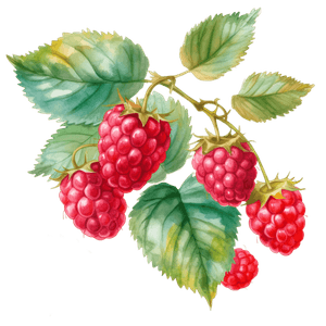Fruit 21 Fruit 21