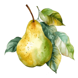 Fruit 24 Fruit 24