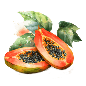 Fruit 3 Fruit 3
