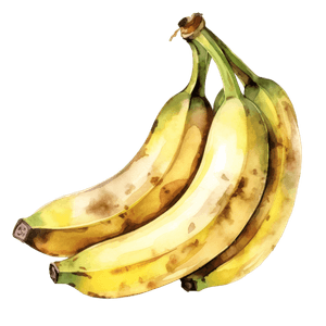 Fruit 5 Fruit 5