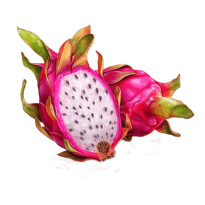 Fruit 9 Fruit 9