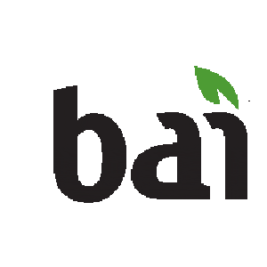 Bai Bai