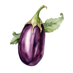 Veggie 11 Veggie 11