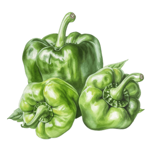 Veggie 15 Veggie 15