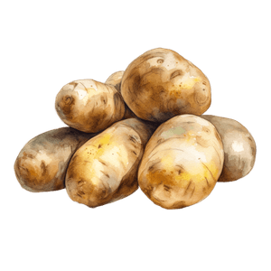 Veggie 18 Veggie 18