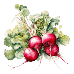 Veggie 19 Veggie 19