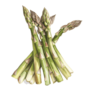 Veggie 2 Veggie 2