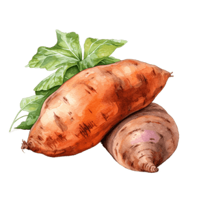 Veggie 23 Veggie 23