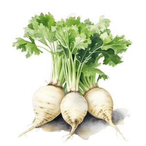 Veggie 25 Veggie 25