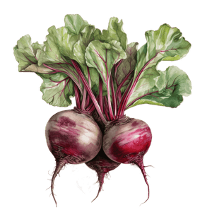 Veggie 3 Veggie 3