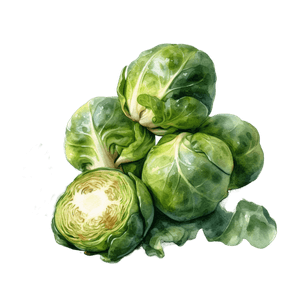 Veggie 5 Veggie 5