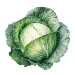 Veggie 6 Veggie 6