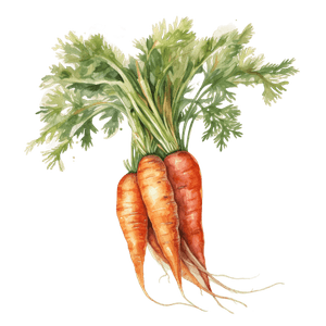 Veggie 7 Veggie 7